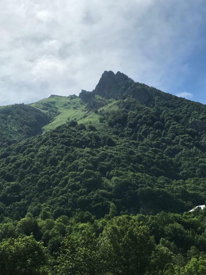 Residence Isard Blanc 科特雷 外观 照片